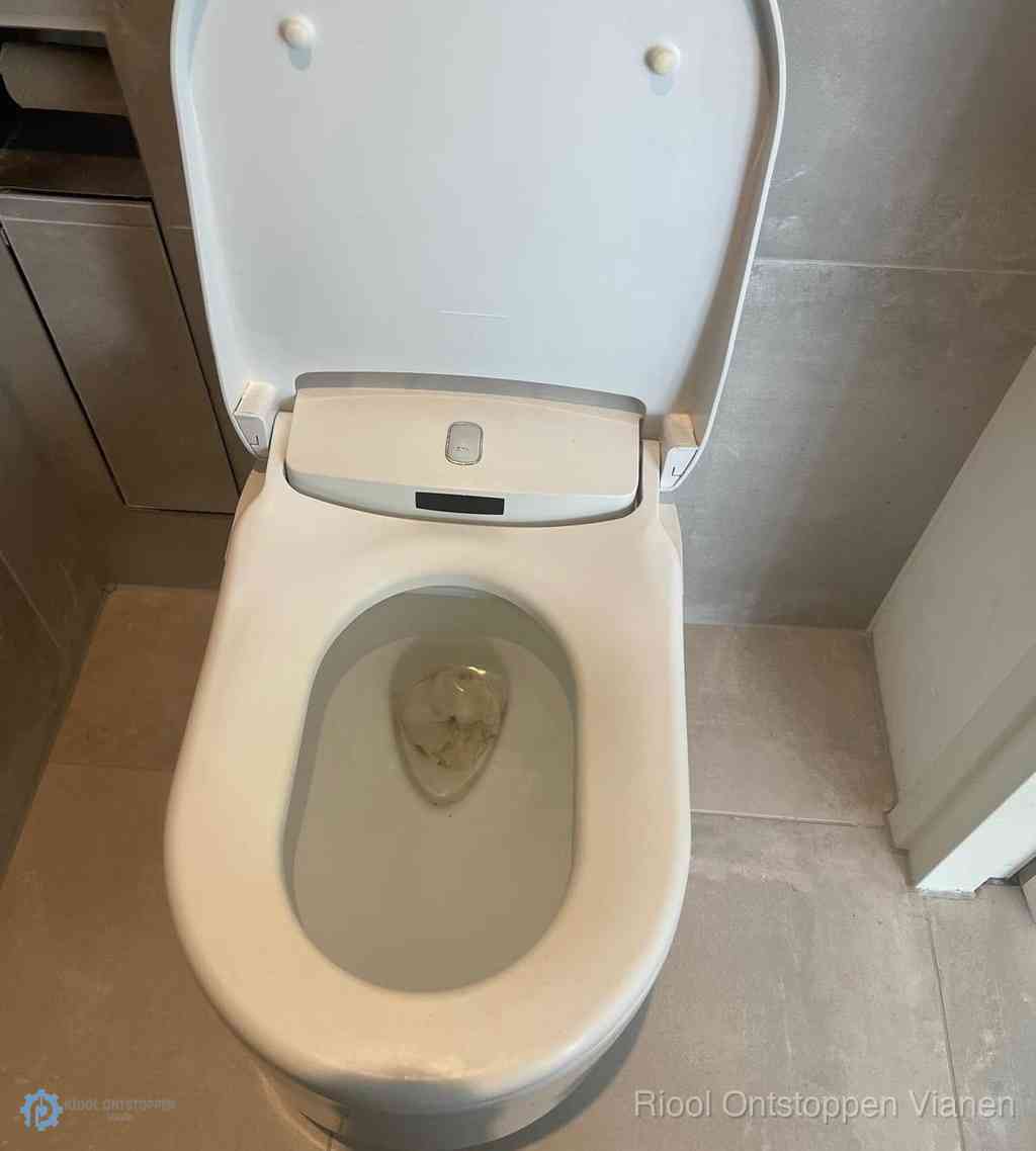 Toilet Ontstoppen Vianen Toilet Ontstoppen Vianen